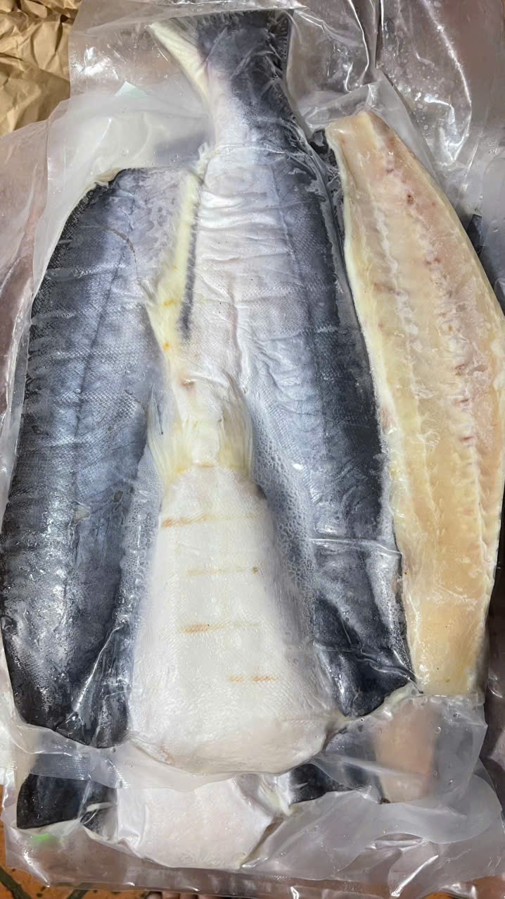 IMG_1762743473110_1762831818940