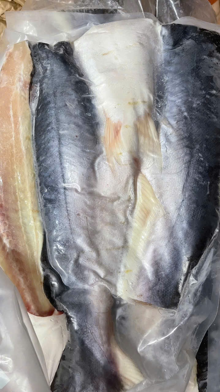 IMG_1762743473160_1762831819184