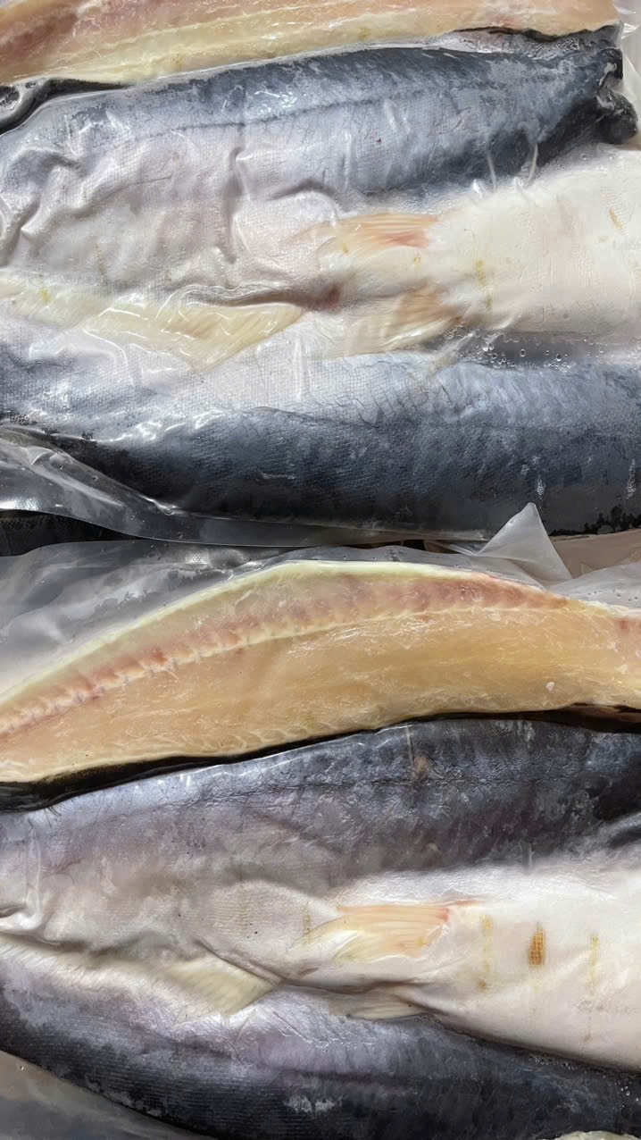 IMG_1762743473177_1762831819266