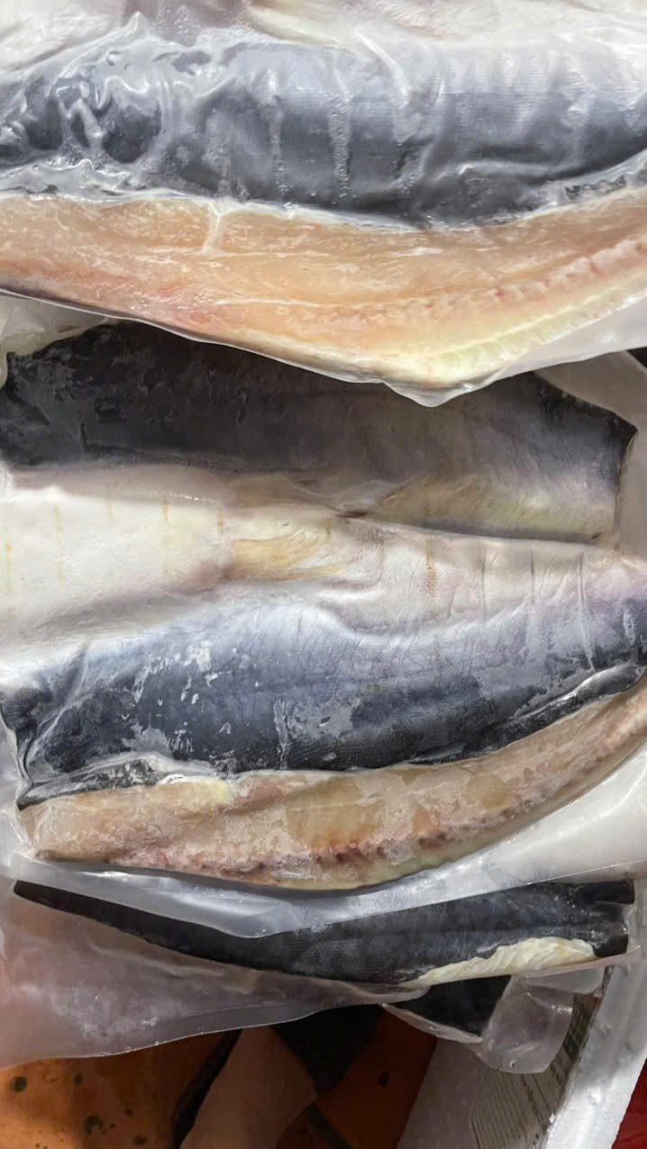 IMG_1762743473203_1762831819434