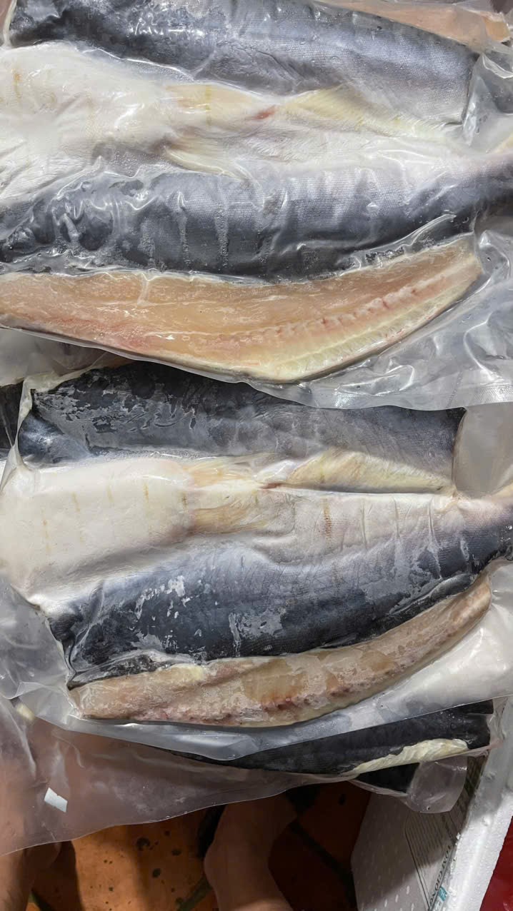 IMG_1762743473214_1762831819504