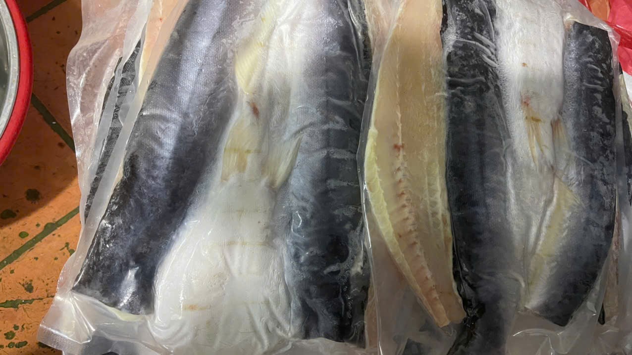 IMG_1762743473224_1762831819564