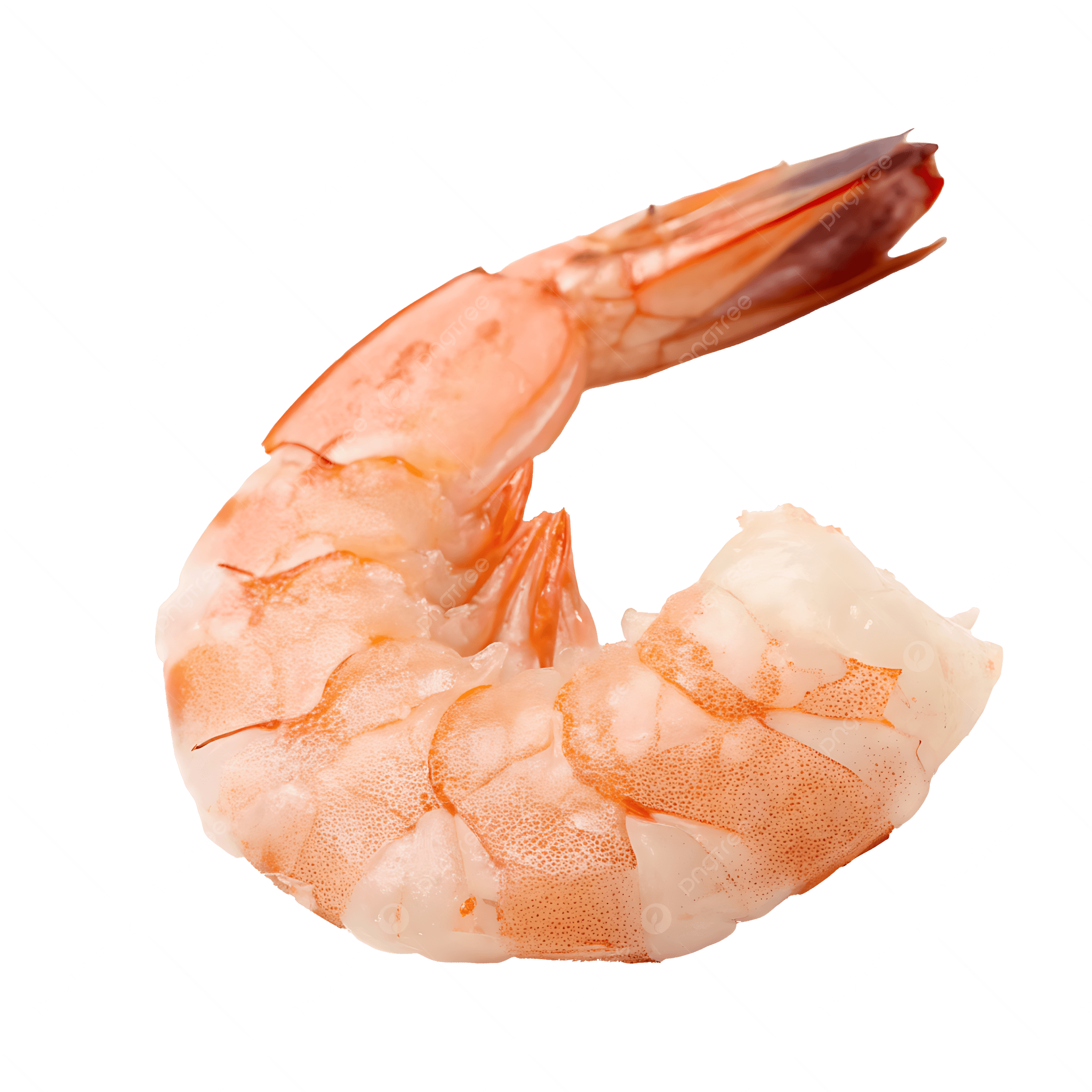 pngtree-set-of-cooked-white-shrimp-peeled-and-deveined-isolated-on-background-png-image_21312352