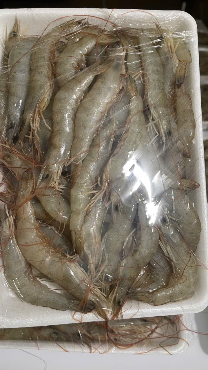 IMG_1762743473311_1762831820396