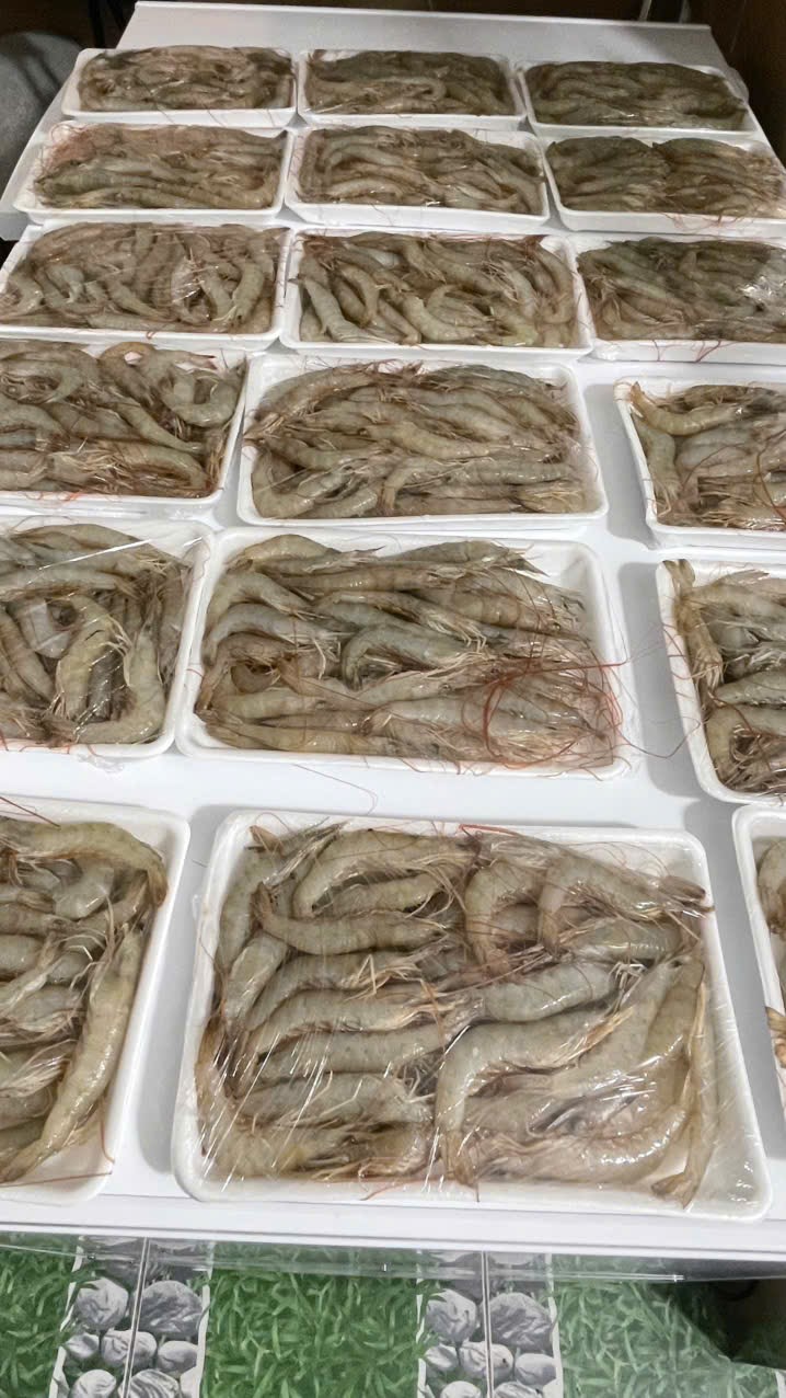 IMG_1762743473334_1762831820778