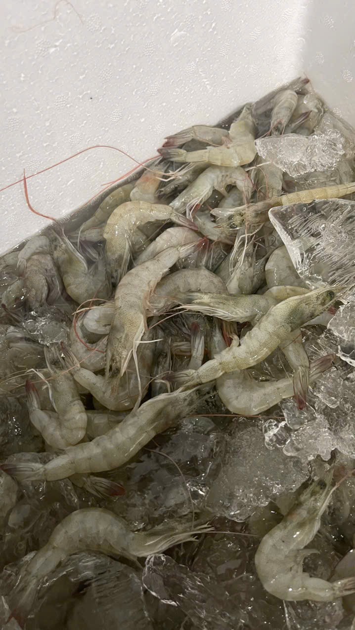 IMG_1762743473354_1762831820936