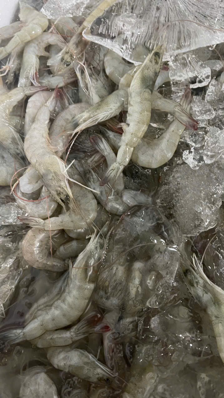 IMG_1762743473364_1762831821013